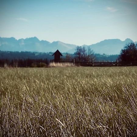 Malowany Domek W Gorach Ciche  Buitenkant foto