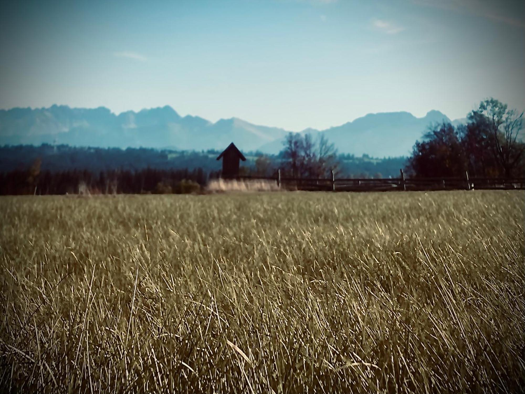 Malowany Domek W Gorach Ciche  Buitenkant foto