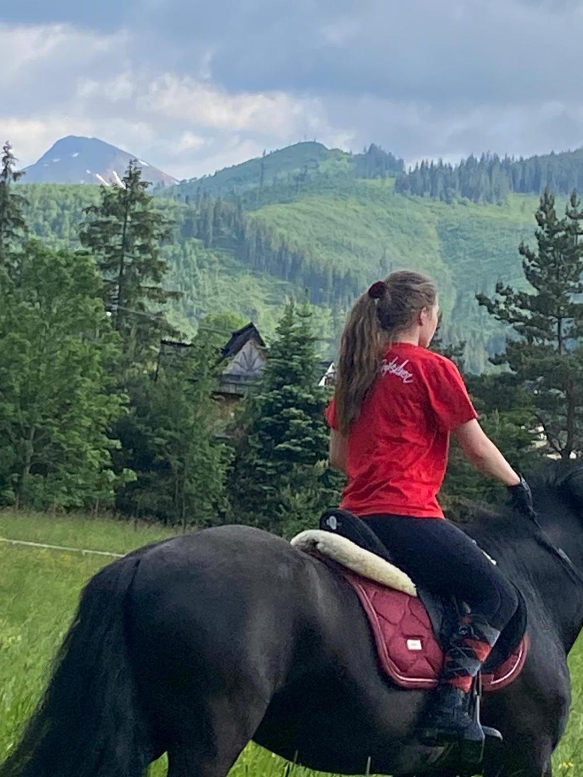 Malowany Domek W Gorach Ciche  Buitenkant foto